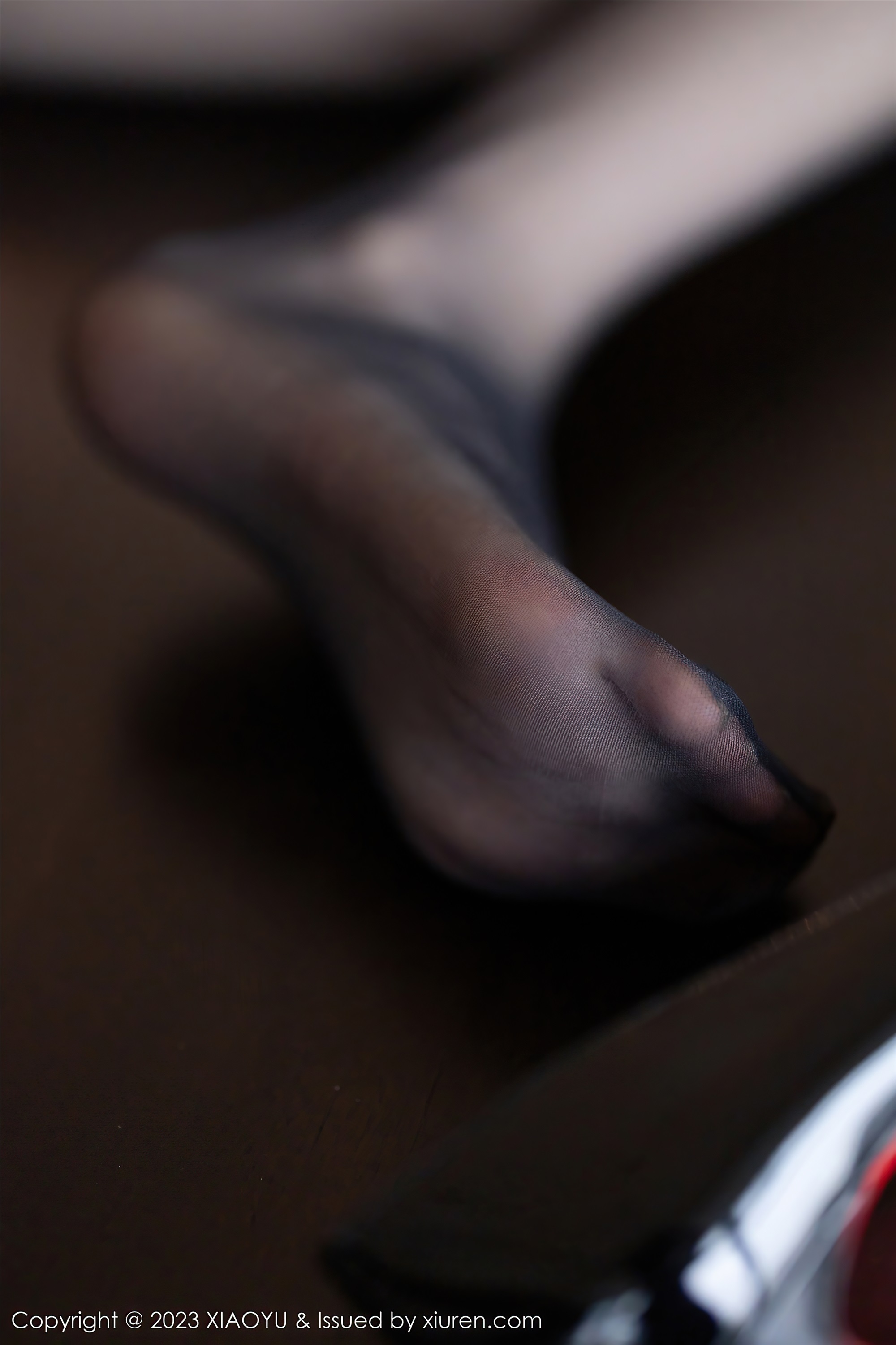 XiaoYu语画界  2023.04.04 VOL.1000 林星阑